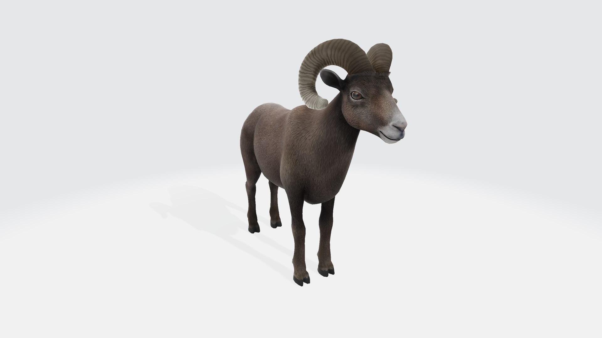 Ram model https://p.turbosquid.com/ts-thumb/GP/zZ2bVB/Pk/ram00/png/1730839371/1920x1080/fit_q87/abaeb83491aed9aa55bec2b002e830339c94ddf6/ram00.jpg