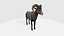 RAM