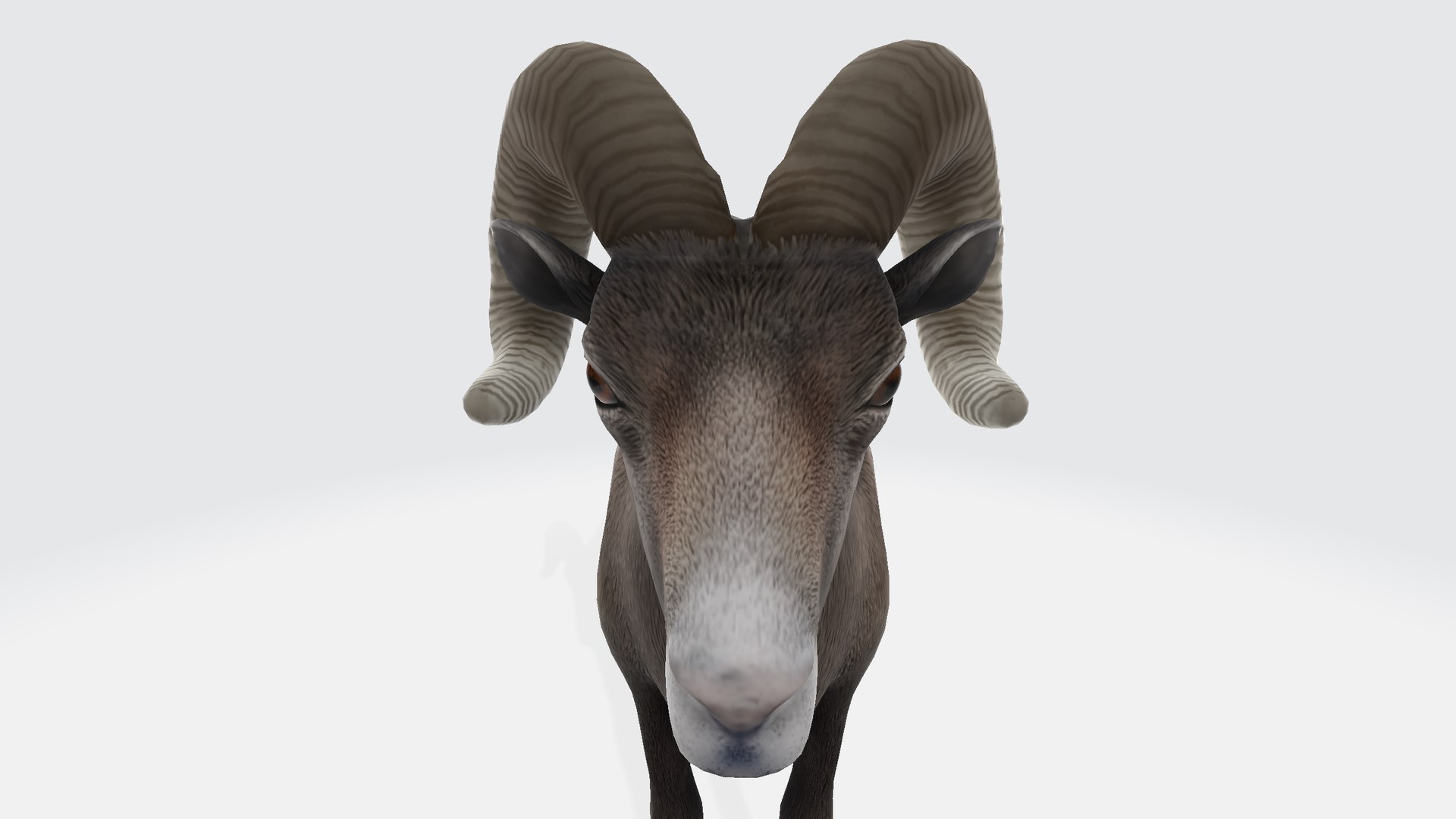 Ram model https://p.turbosquid.com/ts-thumb/GP/zZ2bVB/aO/ram00123456/png/1730839374/1920x1080/fit_q87/3fd51031705ecc207fab4b6ee0b07b946ea502e8/ram00123456.jpg