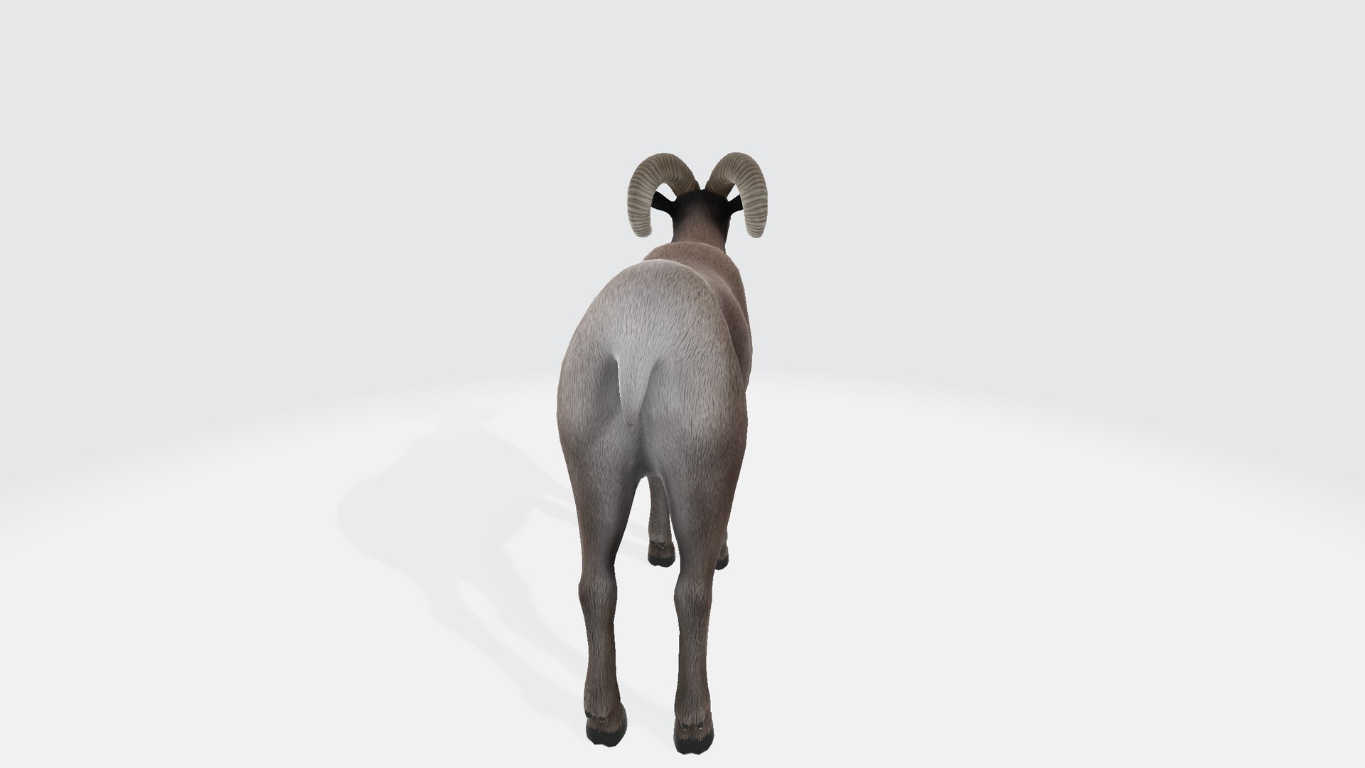Ram model https://p.turbosquid.com/ts-thumb/GP/zZ2bVB/fd/ram001234/png/1730839373/1920x1080/fit_q87/724c288c7ca871e4987ccc456740746f7dd15229/ram001234.jpg