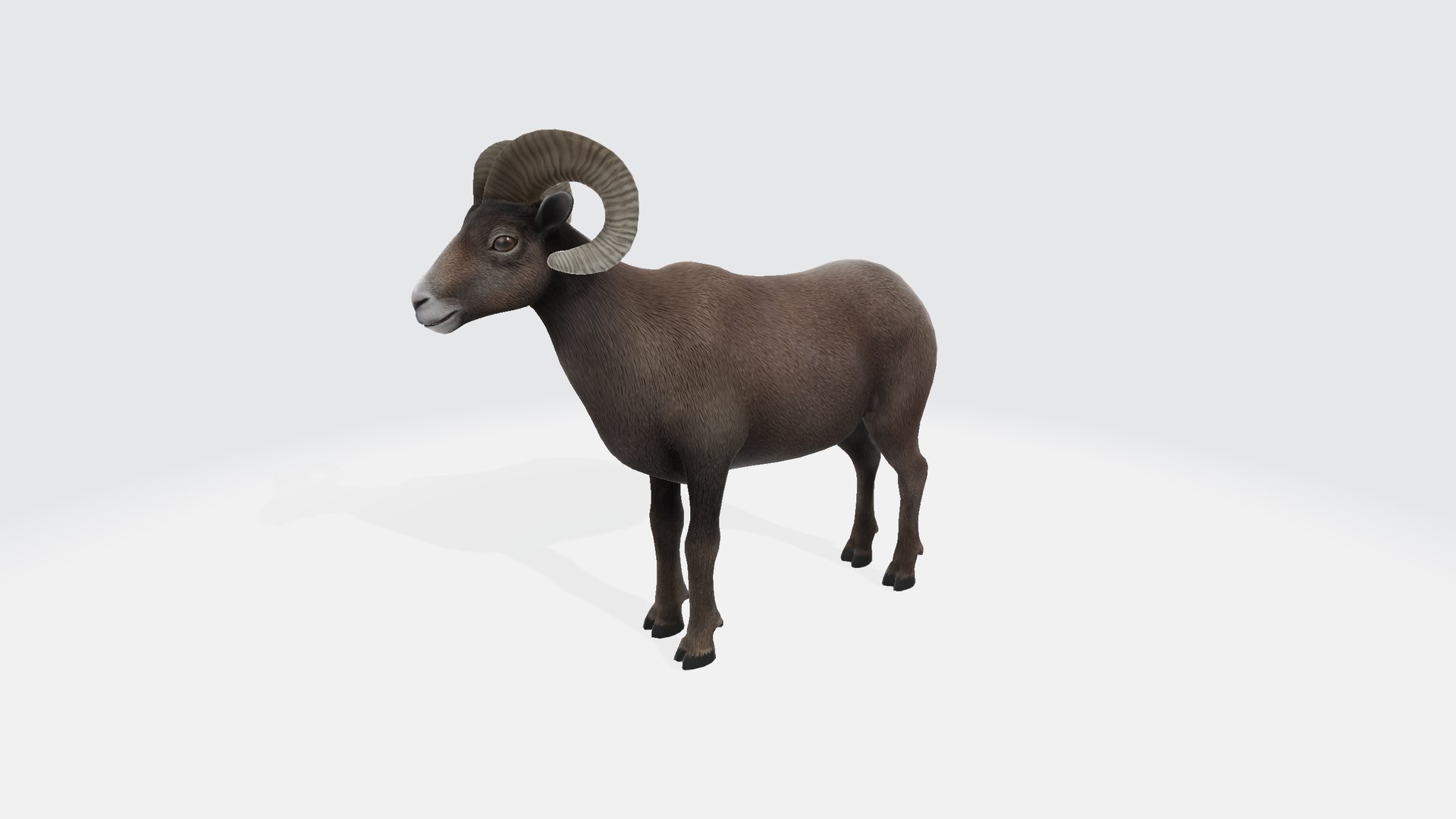 Ram model https://p.turbosquid.com/ts-thumb/GP/zZ2bVB/zp/ram00123/png/1730839372/1920x1080/fit_q87/e9014f8d5f1bb81d51e6fb4e0fc4adf7db8c06c6/ram00123.jpg