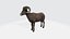 RAM