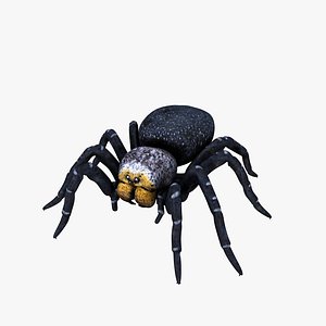 Ladybird Spider Female Black model