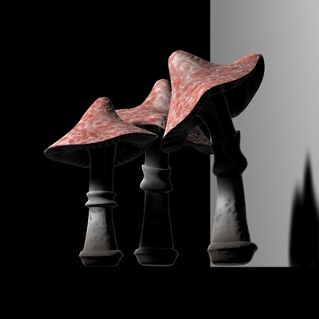 poseable mushrooms 3d c4d https://p.turbosquid.com/ts-thumb/GQ/Bp8HwR/5Tm8H4EQ/right/jpg/1135192691/1920x1080/fit_q87/70d2e2cb917365470d180603013eedf71a8e2fa3/right.jpg