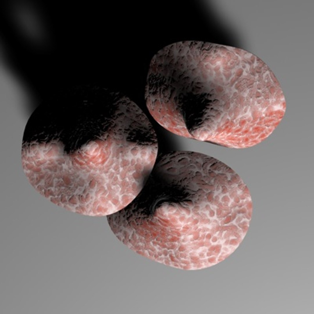 poseable mushrooms 3d c4d https://p.turbosquid.com/ts-thumb/GQ/Bp8HwR/M6xhYqKD/top/jpg/1135192696/1920x1080/fit_q87/40d3c91c5eff36e84d29641db342a2ce5c11fd9c/top.jpg