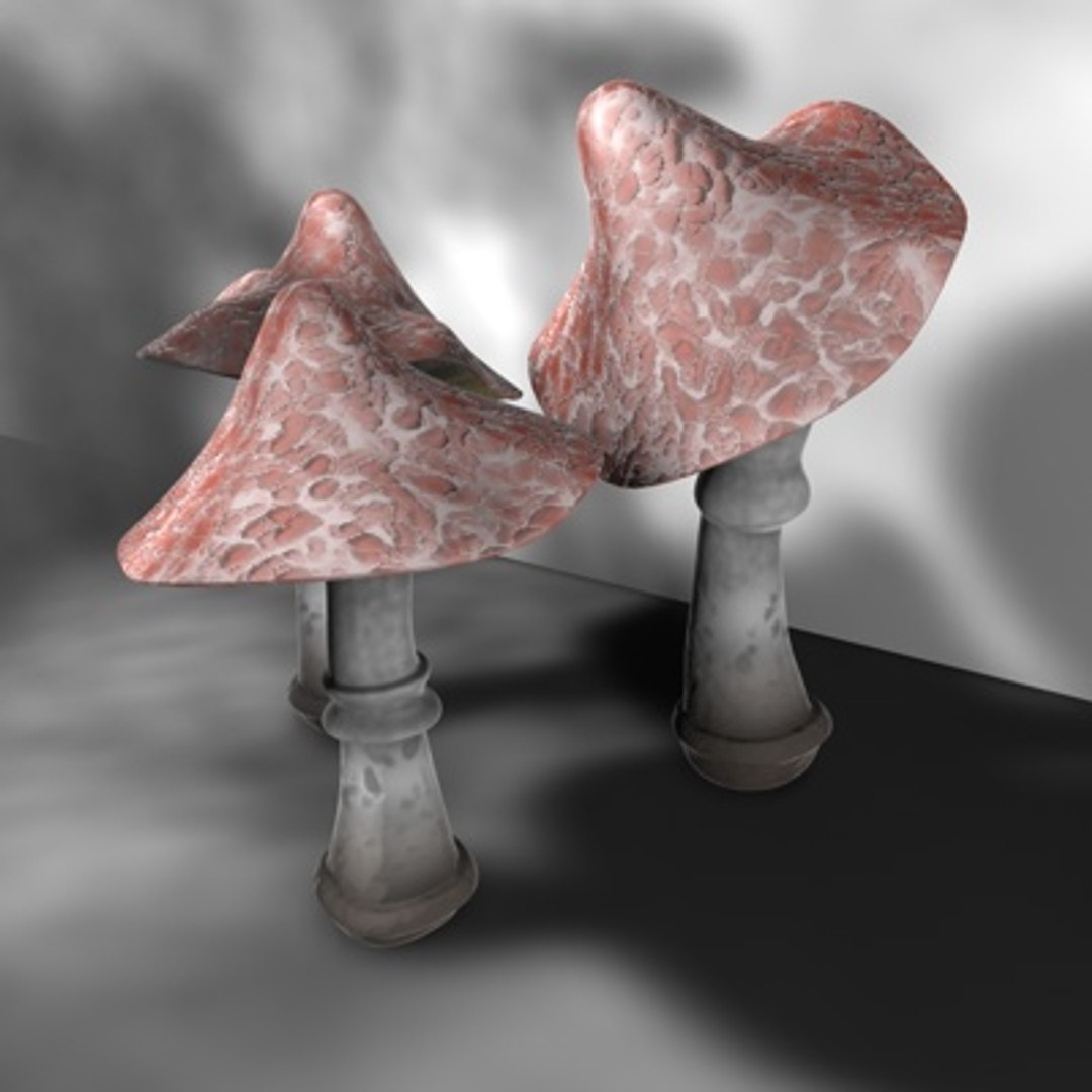 poseable mushrooms 3d c4d https://p.turbosquid.com/ts-thumb/GQ/Bp8HwR/c2uUvCXr/persp_forestlight/jpg/1135192672/1920x1080/fit_q87/b9abe845eb925604cb7928ae87f8021e3d9948cd/persp_forestlight.jpg