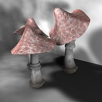 Poseable Mushrooms