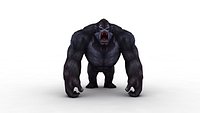 Gorilla