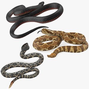 rigged snakes 3D model