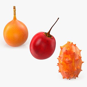 Exotic Fruits Collection 9 3D model