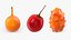 Exotic Fruits Collection 9 3D model