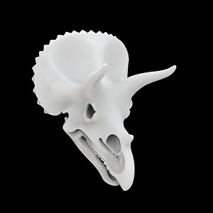 Triceratops Skull 3D Print Model 3D model
