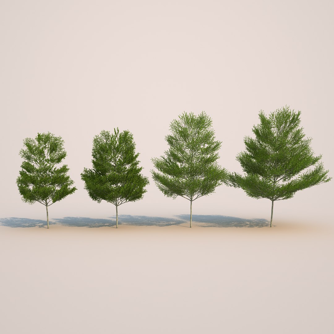 3d 4 Tree