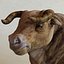 Bull (rigged)