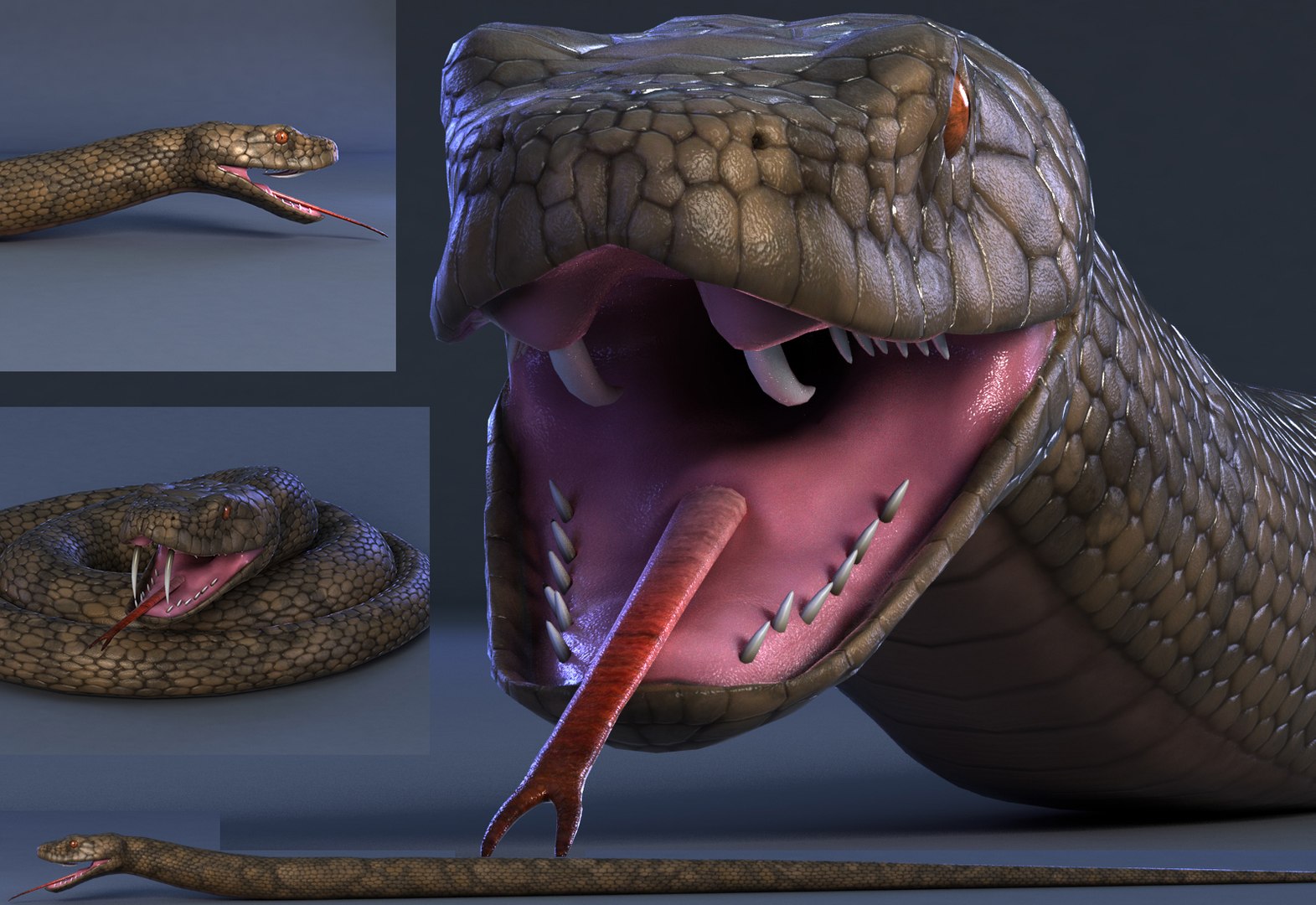 3D Snake Reptile Animal - TurboSquid 1474876