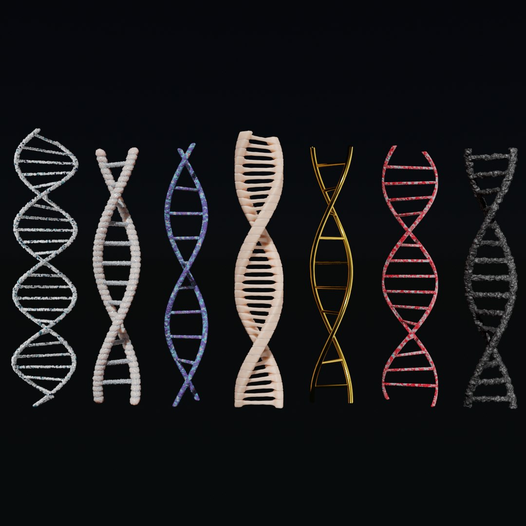 3D DNA Collection 3D model - TurboSquid 2138174