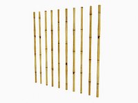 BAMBOO
