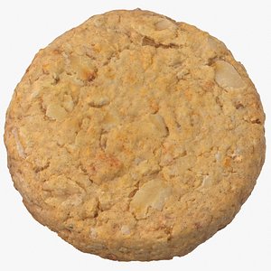3D oat flakes cracker 01