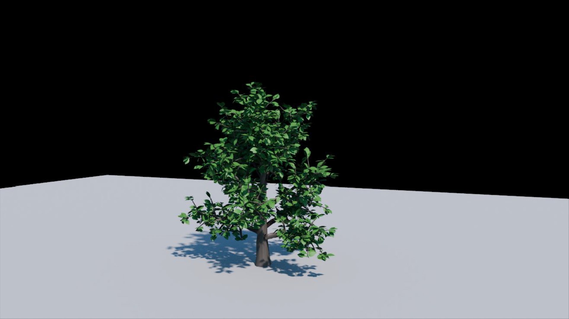 3D Model Low Poly Tree Collection - TurboSquid 2019383