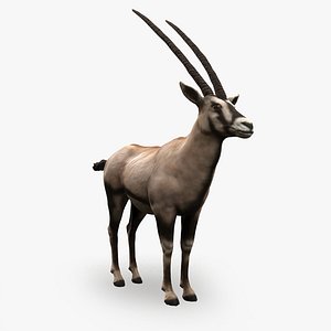 Oryx Antelope Low Poly