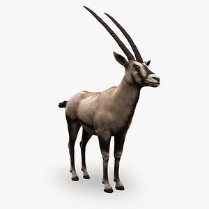 Oryx Antelope Low Poly
