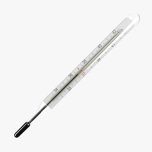medical mercury thermometer model