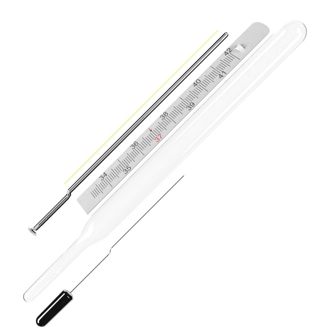 Medical mercury thermometer model TurboSquid 1266088