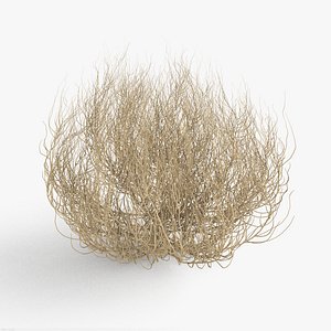 3D Desert Tumbleweed