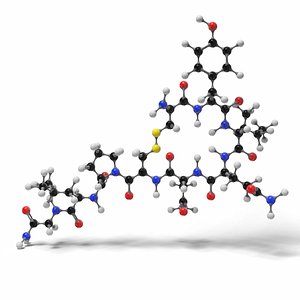 3D oxytocin molecule modeled