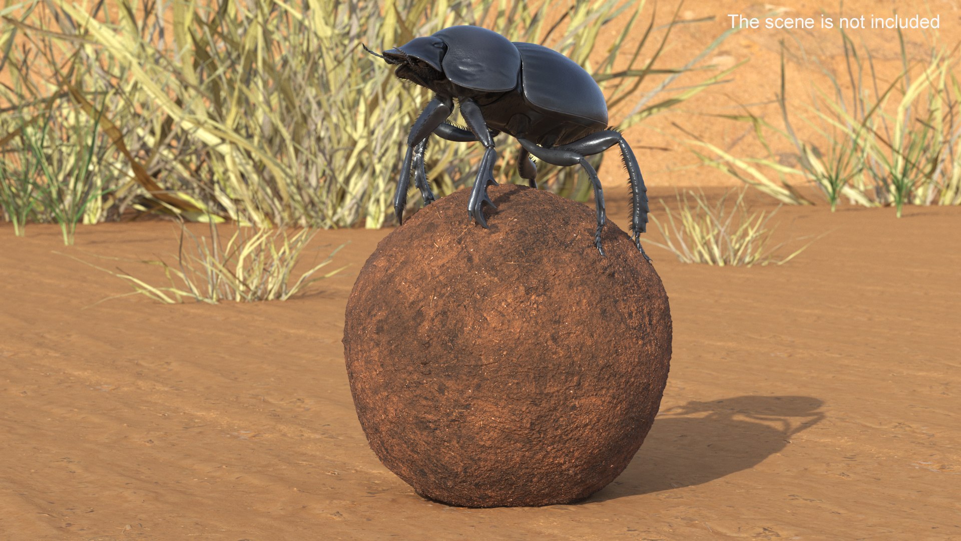 3D Soil Beetle on Sphere Fur https://p.turbosquid.com/ts-thumb/GR/5iqHmw/Mt/soilbeetleonspherefurvray3dmodel002/jpg/1729173338/1920x1080/fit_q87/0505ceb02c4c8bf9b15233b9697a68c75bc1e711/soilbeetleonspherefurvray3dmodel002.jpg