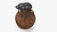 Soil Beetle on Sphere Fur