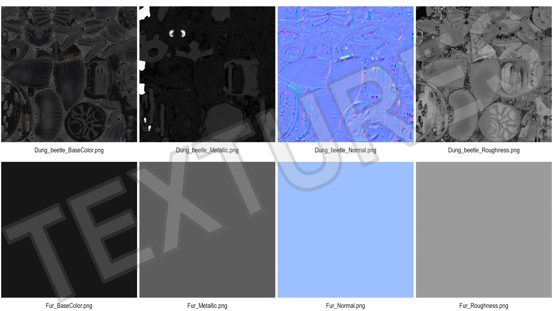 3D Soil Beetle on Sphere Fur https://p.turbosquid.com/ts-thumb/GR/5iqHmw/hv/soilbeetleonspherefurvray3dmodel015/jpg/1729173438/1920x1080/fit_q87/d393946359ee79a53199fa1ab06711afedeb2657/soilbeetleonspherefurvray3dmodel015.jpg