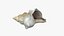 Small Sea Shell
