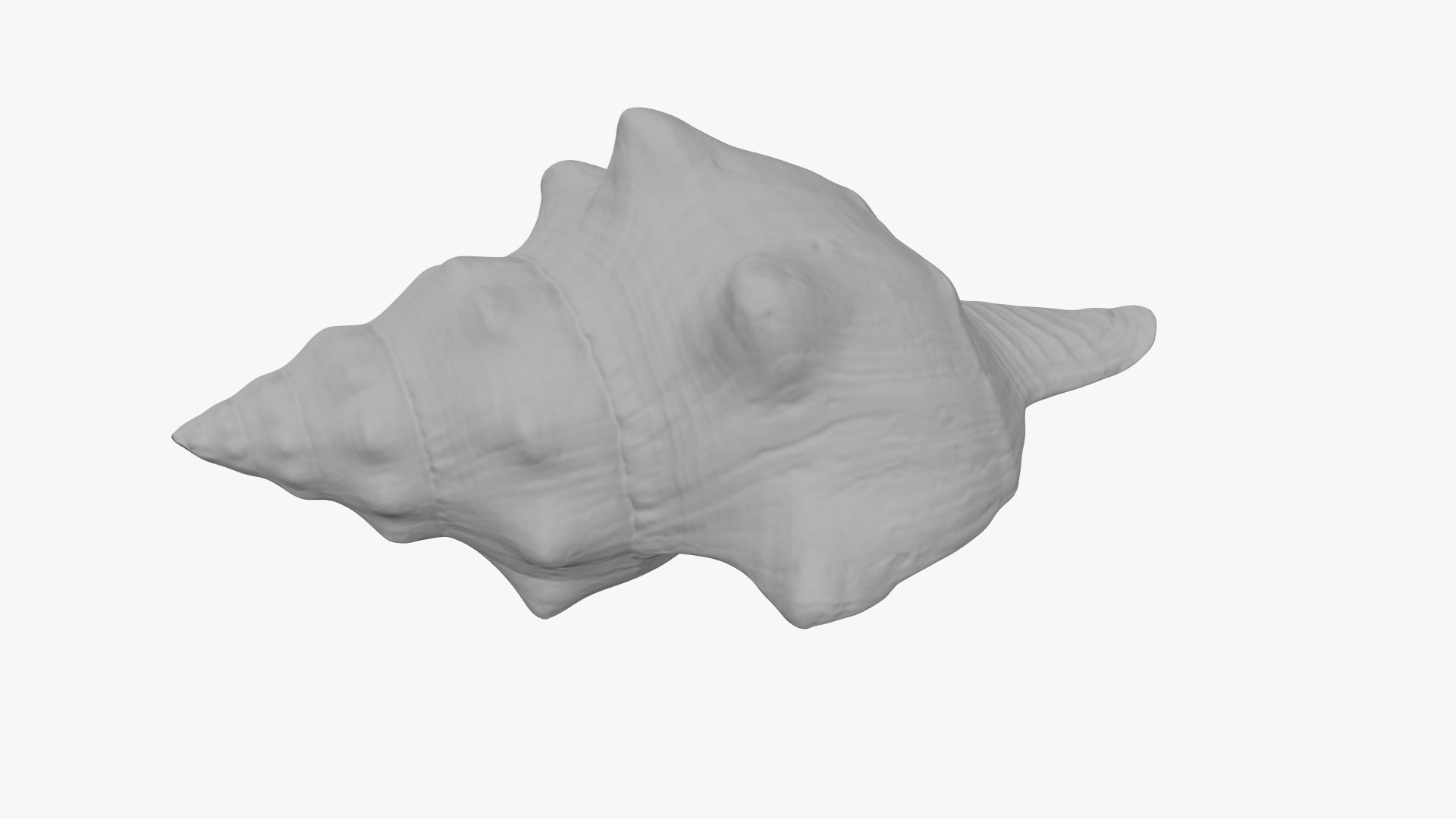 Small Sea Shell 3D https://p.turbosquid.com/ts-thumb/GR/FjMura/Qu/smallshell_d_003/jpg/1685028575/1920x1080/fit_q87/92406de1eaae7d96ccb89f6a74f1a969bcbf3ff8/smallshell_d_003.jpg
