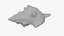 Small Sea Shell