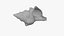 Small Sea Shell