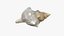 Small Sea Shell