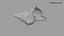 Small Sea Shell