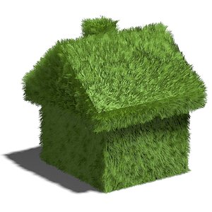 eco house 3d max