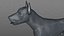 3D doberman rigged l614