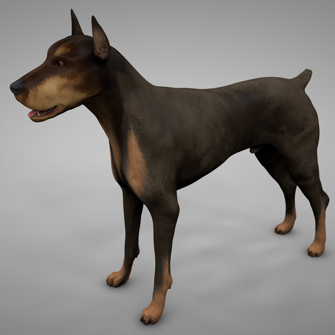 3D doberman rigged l614 https://p.turbosquid.com/ts-thumb/GR/dNbrwx/ErNEwVag/1st/png/1584402422/1920x1080/fit_q87/753e1e517e06f92e1ee20dcc142cc719cc391c3b/1st.jpg
