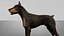 3D doberman rigged l614