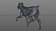 3D doberman rigged l614