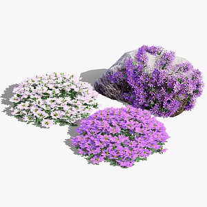 3D model Purple Fanfare Flower 3D Pack