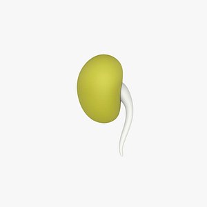 Prop37 Green Bean 3D