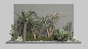 cactus20221108 3D