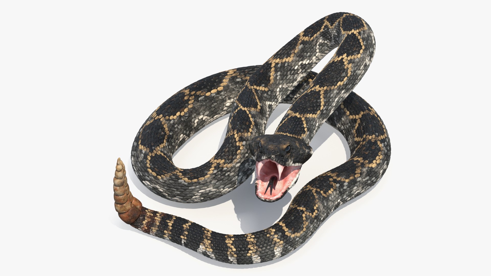 Rattlesnake Dark Rigged for Maya 3D model preview