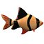 poisson3