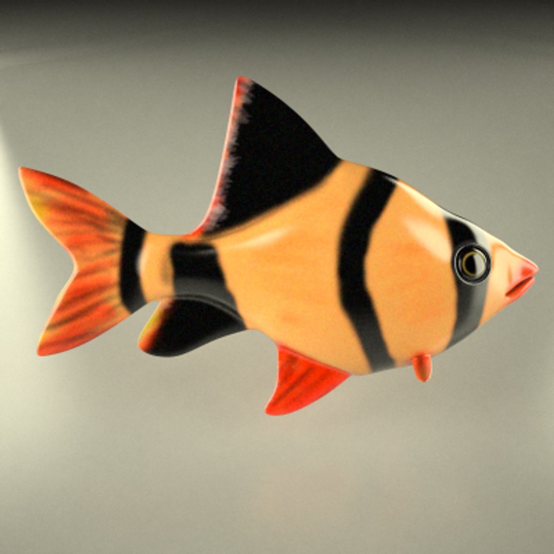 fish aquarium 3d model https://p.turbosquid.com/ts-thumb/GS/13plGS/LVocPCul/fish3a/jpg/1202947201/1920x1080/fit_q87/3bc08fbe983ed981fc8c997025c11f2a40927f8b/fish3a.jpg
