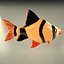 poisson3